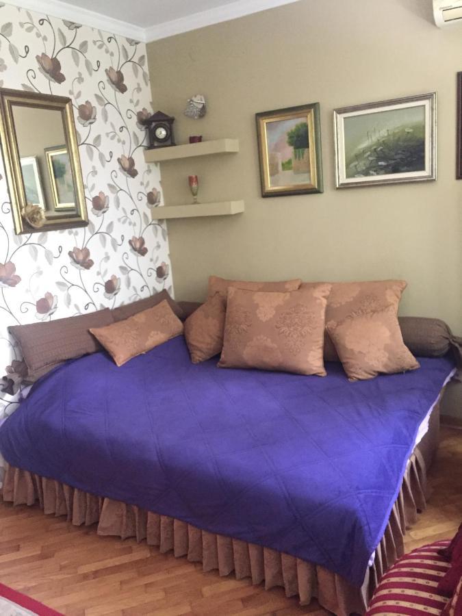 Apartment Ljiljana Belgrado Esterno foto