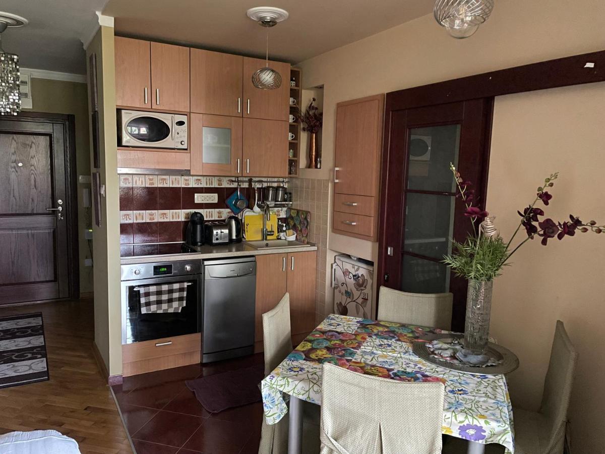 Apartment Ljiljana Belgrado Esterno foto
