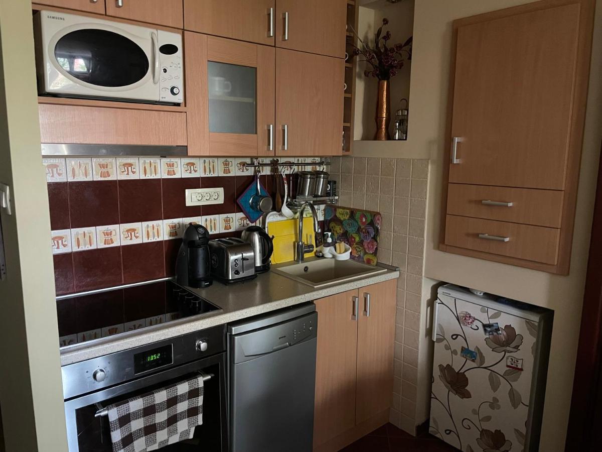 Apartment Ljiljana Belgrado Esterno foto